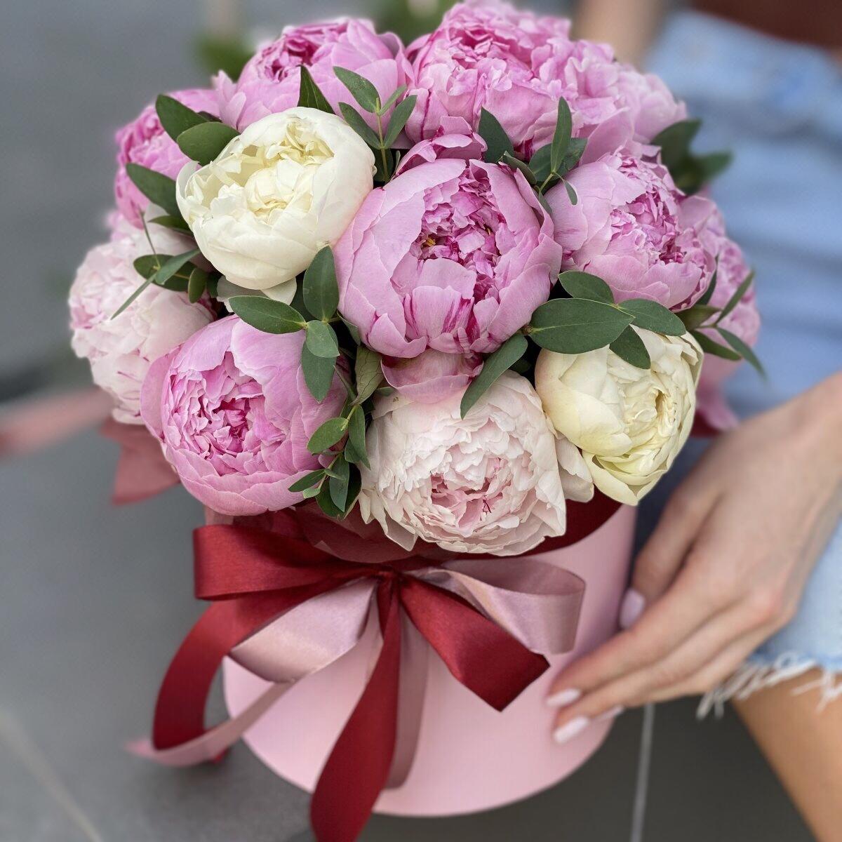 16 Pink & White Peonies – Proper Petals | Dallas Florist | Flowers