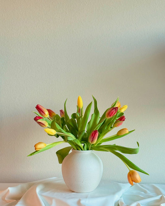 Spring Habit