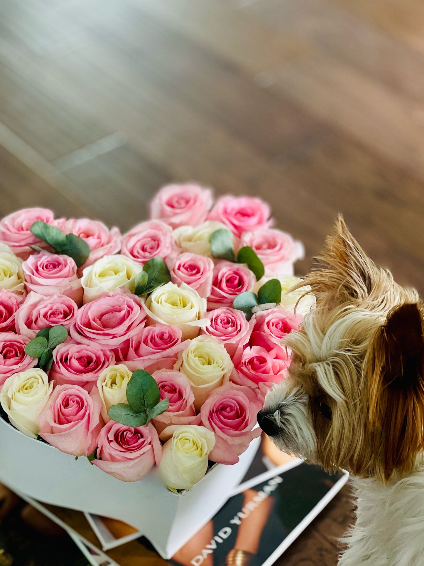 40 Pink Roses in Heart Shaped Box